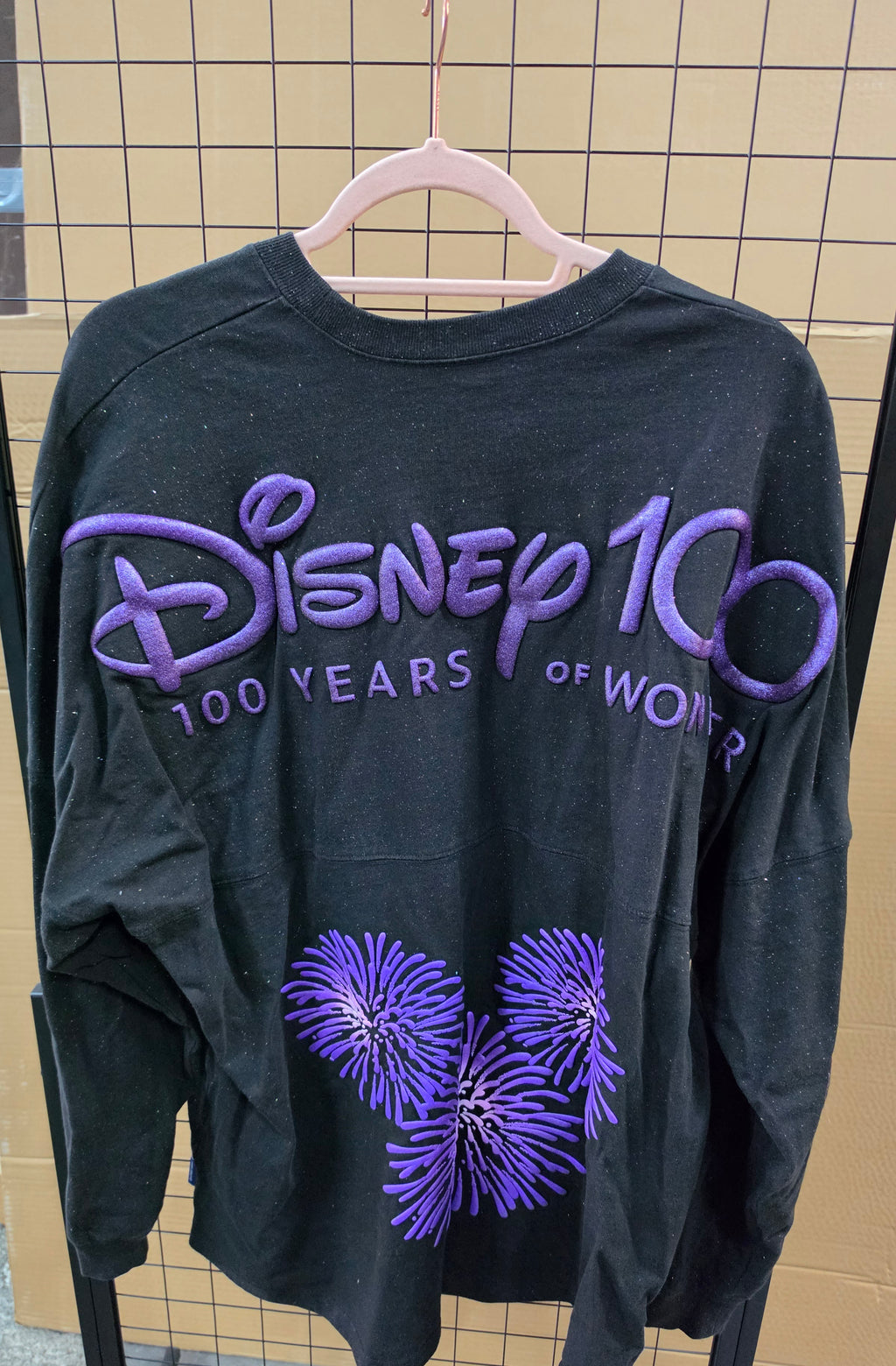 Disney 100jaar jersey