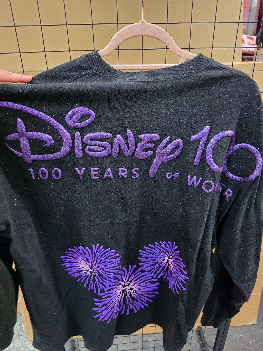 Disney 100jaar jersey
