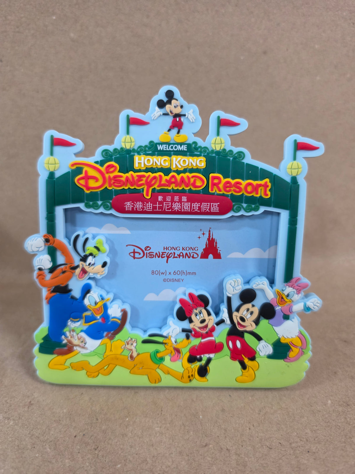 Disneyland resort hong kong foto magneet